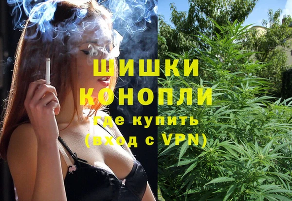 первитин Коряжма