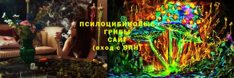 Галлюциногенные грибы Psilocybine cubensis  Шадринск 