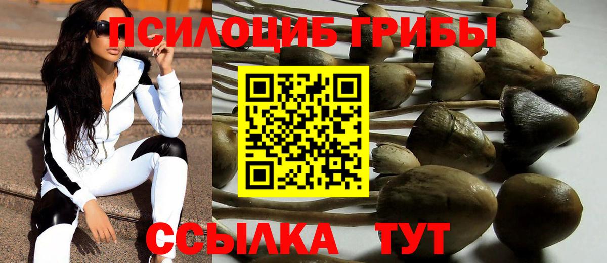 Галлюциногенные грибы прущие грибы  Шадринск 