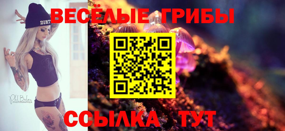 Шадринск  Псилоцибиновые грибы Psilocybe  Галлюциногенные грибы Psilocybine cubensis  где купить   Вход с VPN 